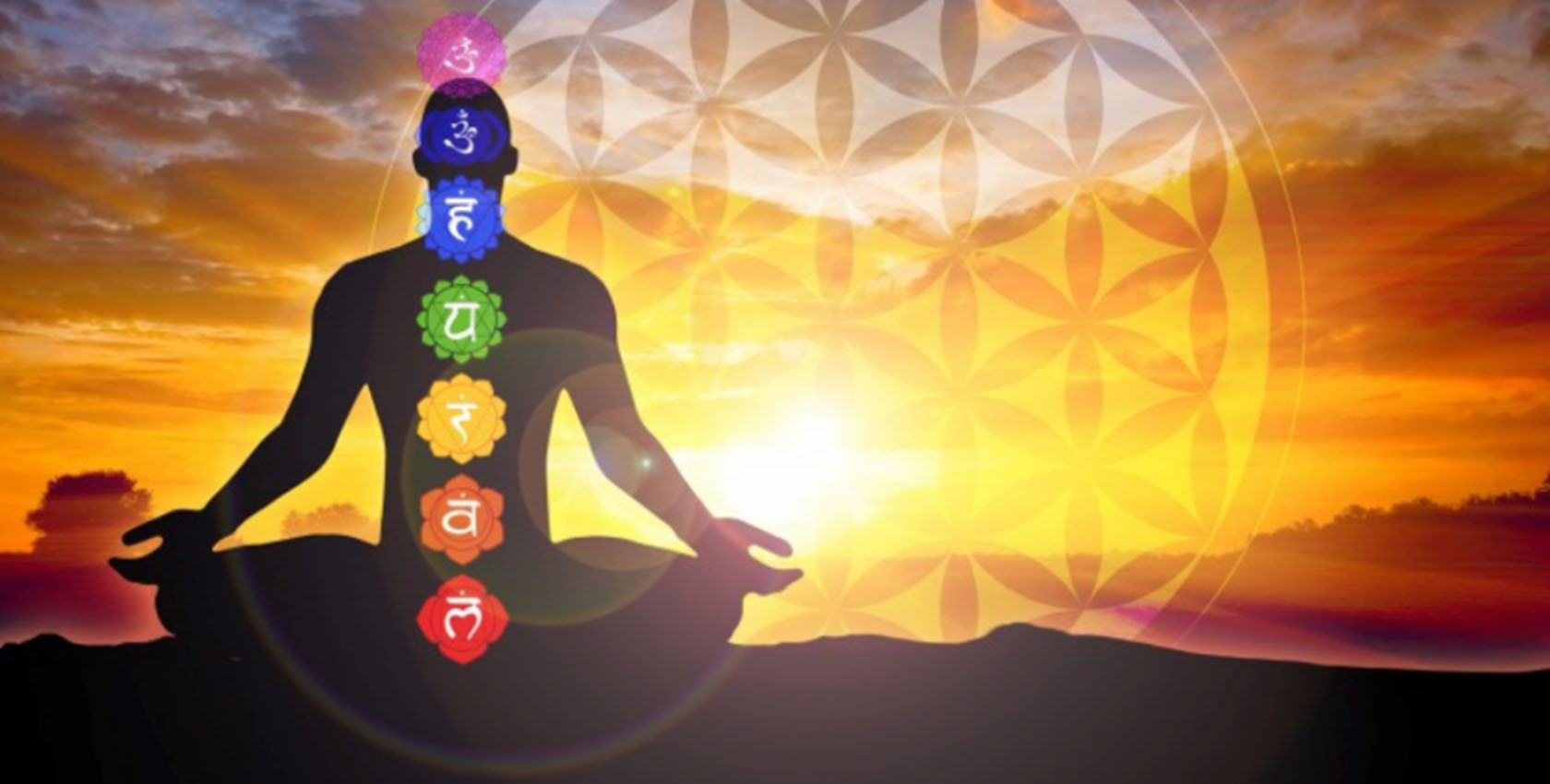 Chakras and auras